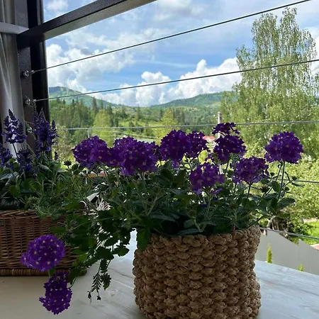 Provence Tatil Evi