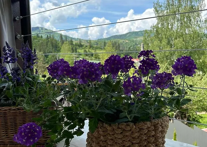 Provence Tatil Evi